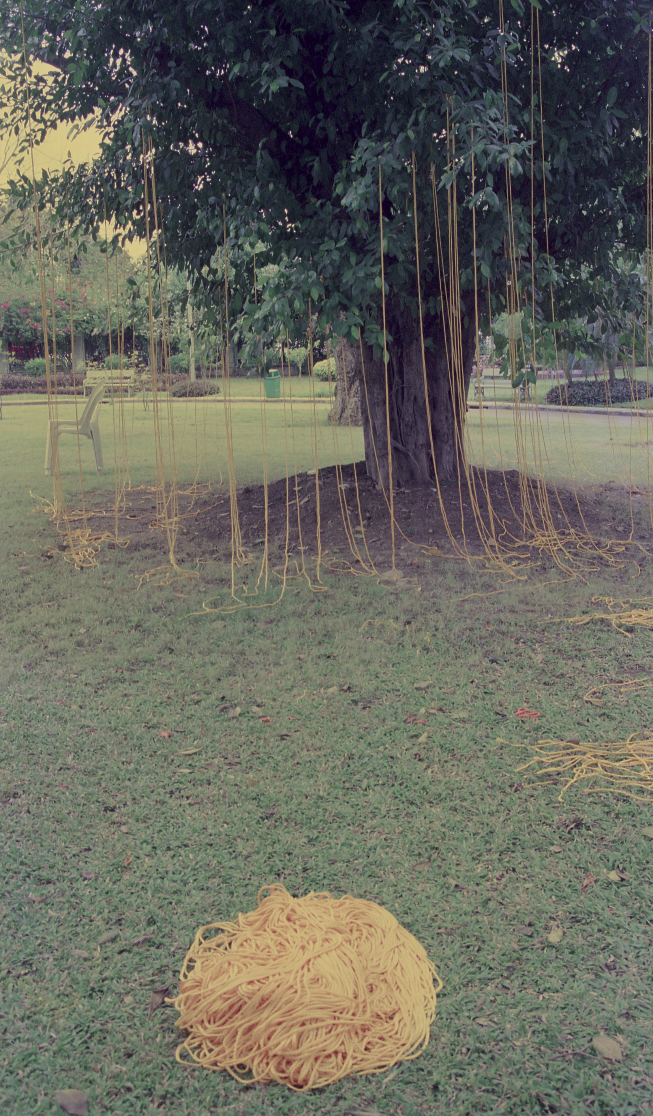 Sun, Strings and Me — Preparation (Set of 2 Photographs)