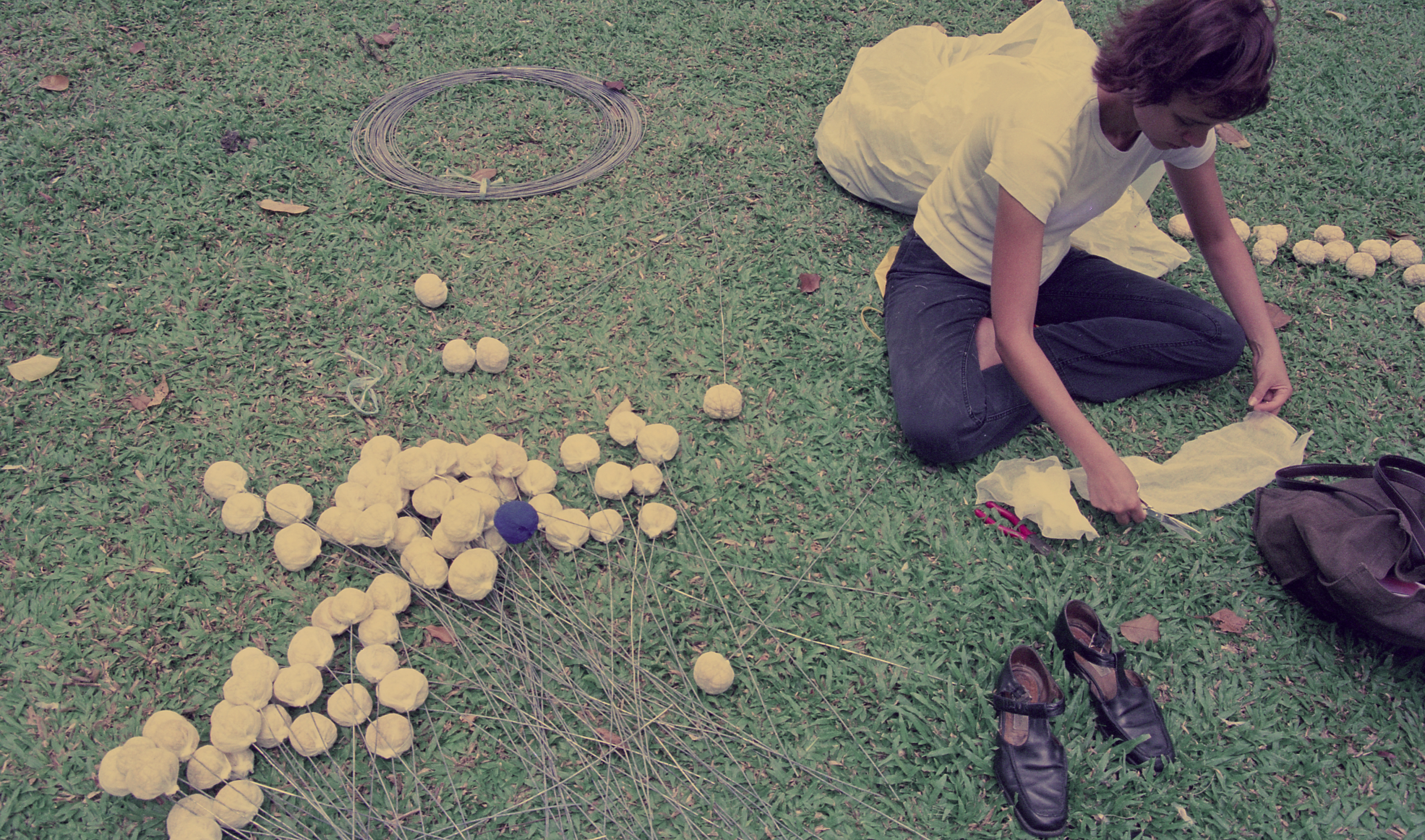 Swept Around in the Wind — Preparation (Set of 3 Photographs)