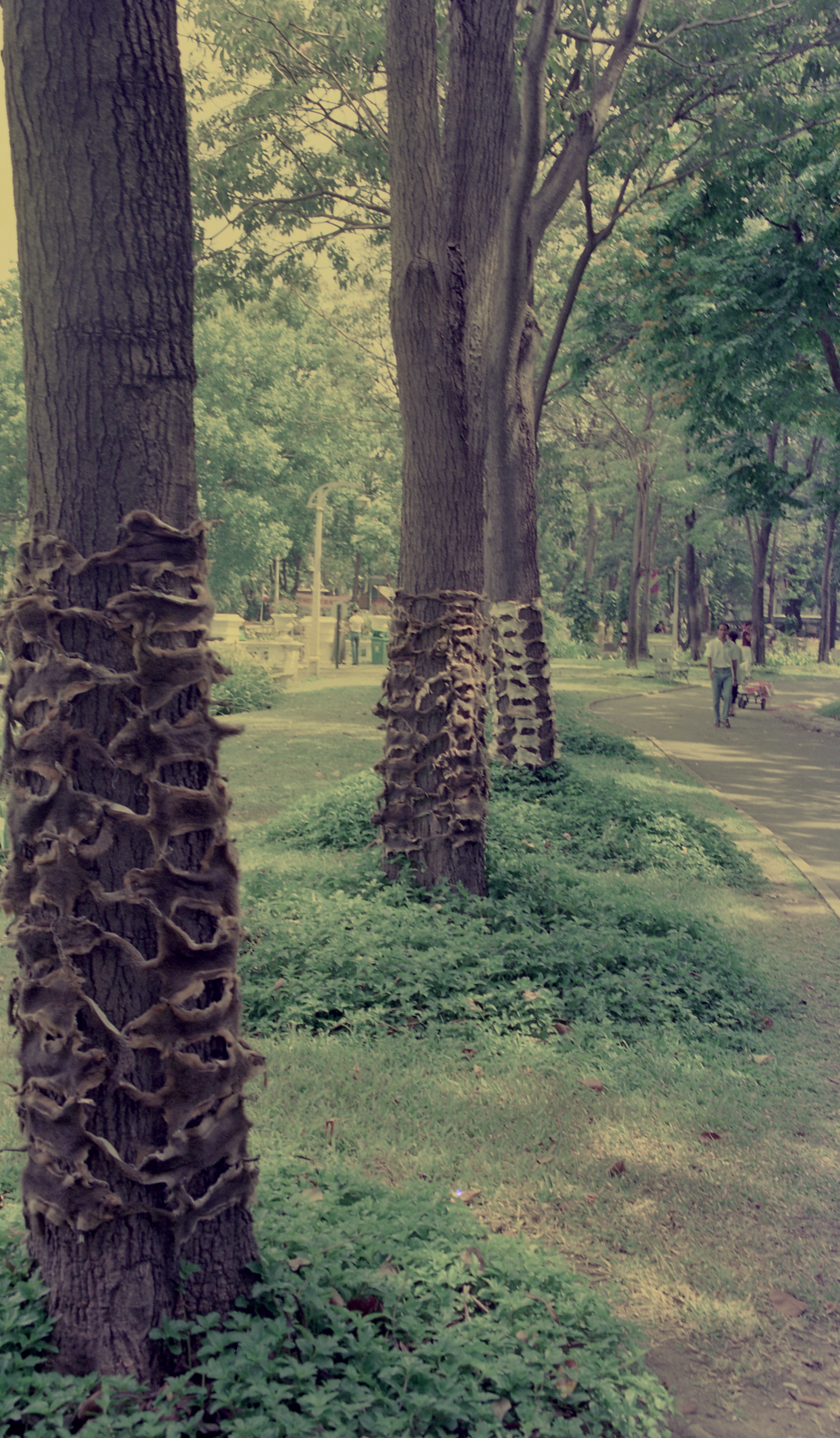 From Pest to Pets (Set of 2 Photographs)