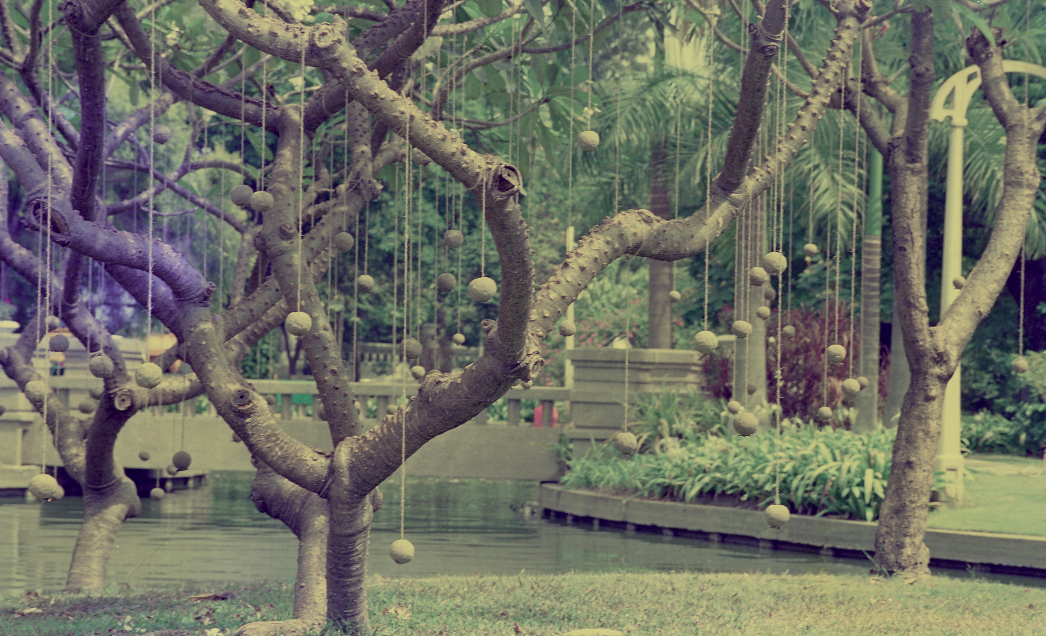 Stand Beside the River (Set of 3 Photographs)