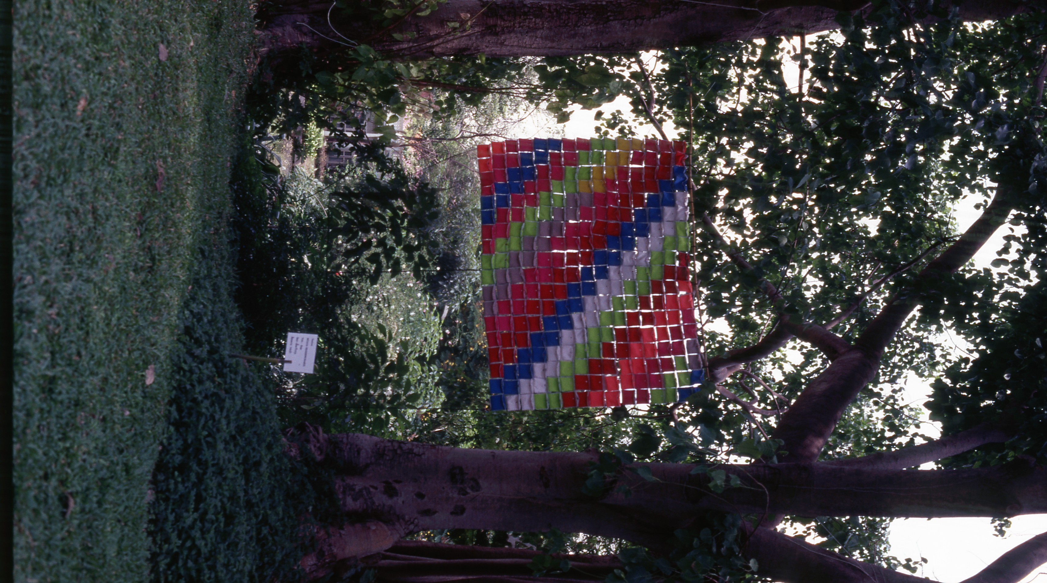 Bags (Set of 3 Photographs)