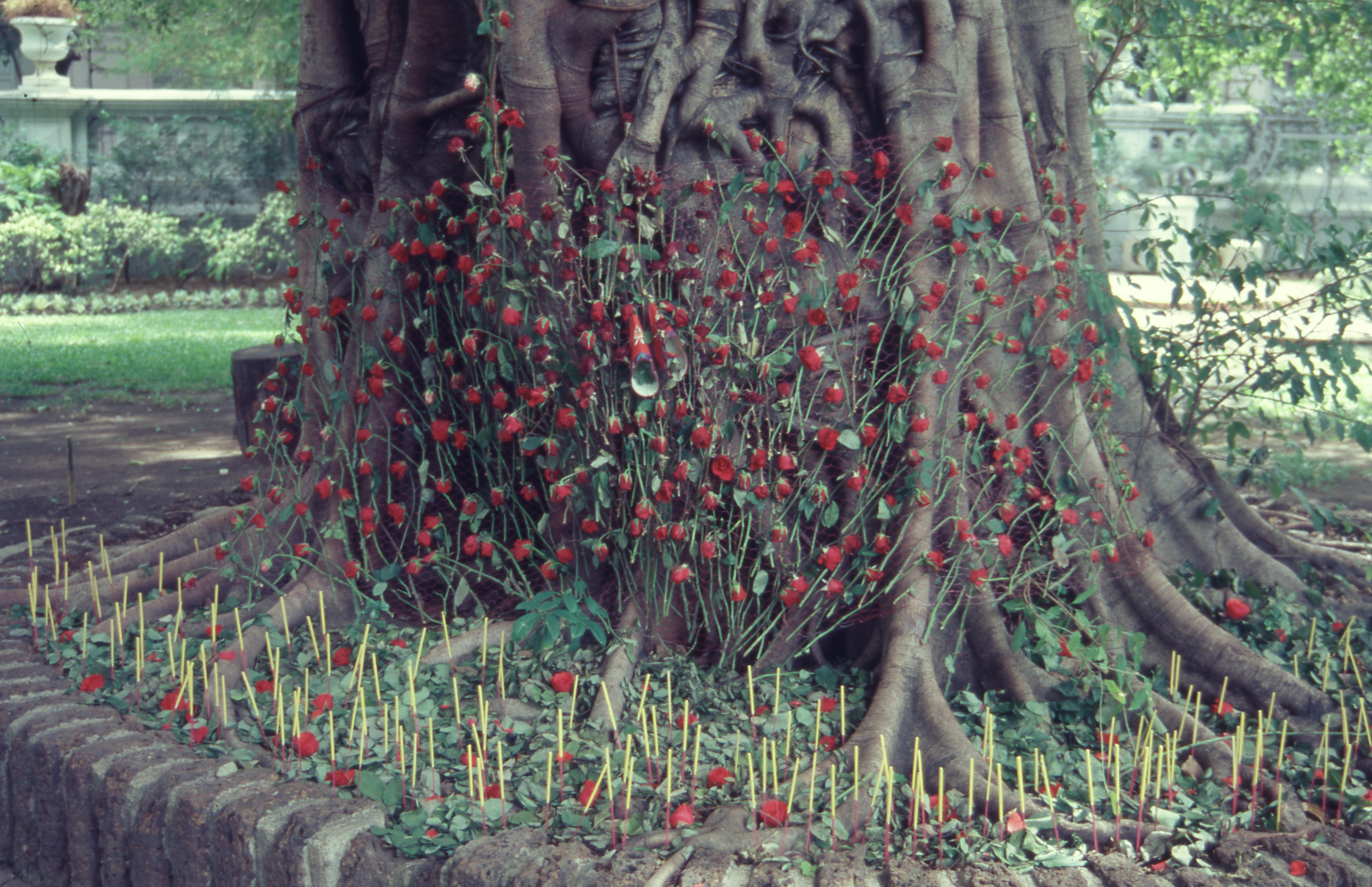 Women's Cemetery (Set of 4 Photographs)