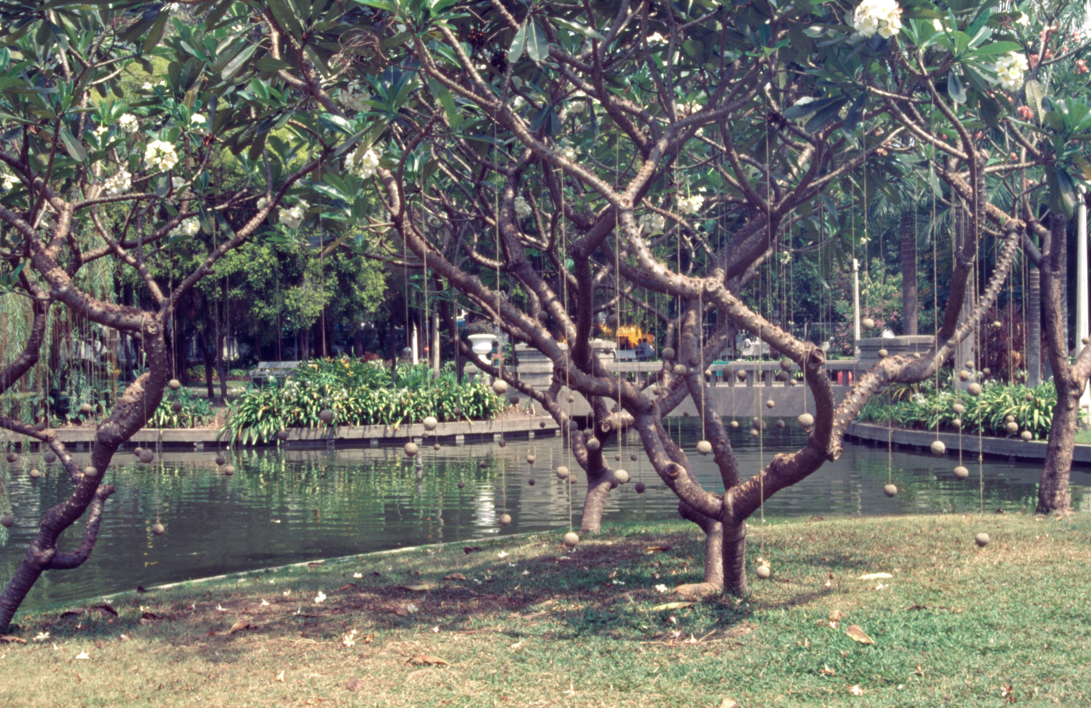 Stand Beside the River