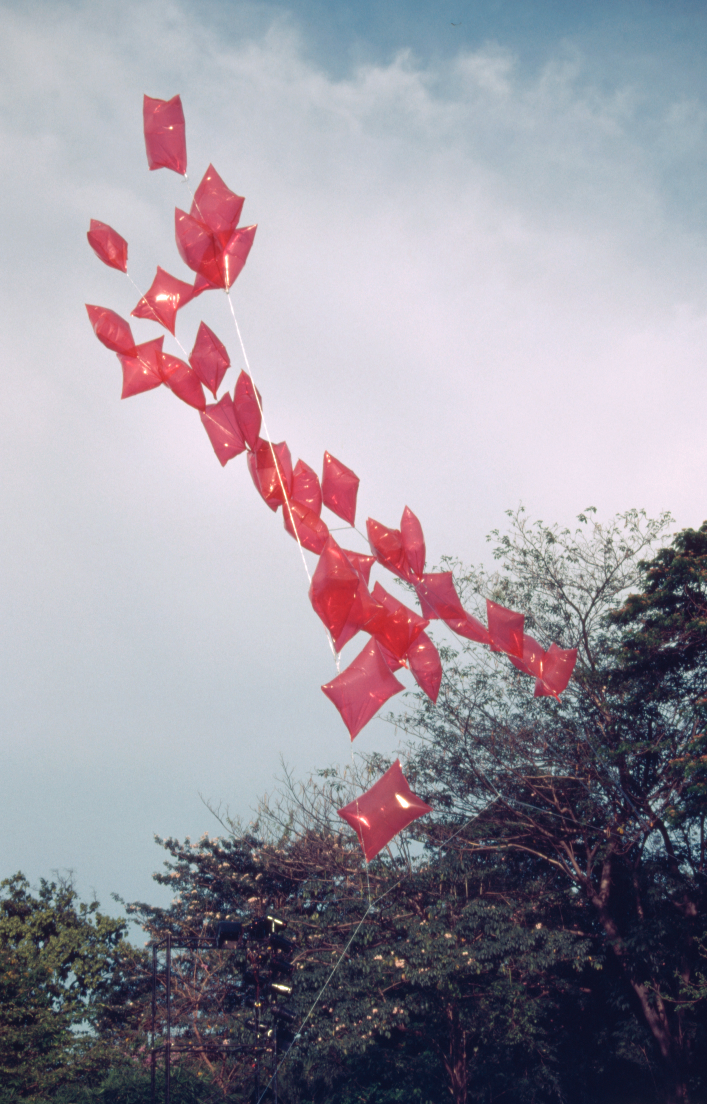 Body Installation (Set of 2 Photographs)