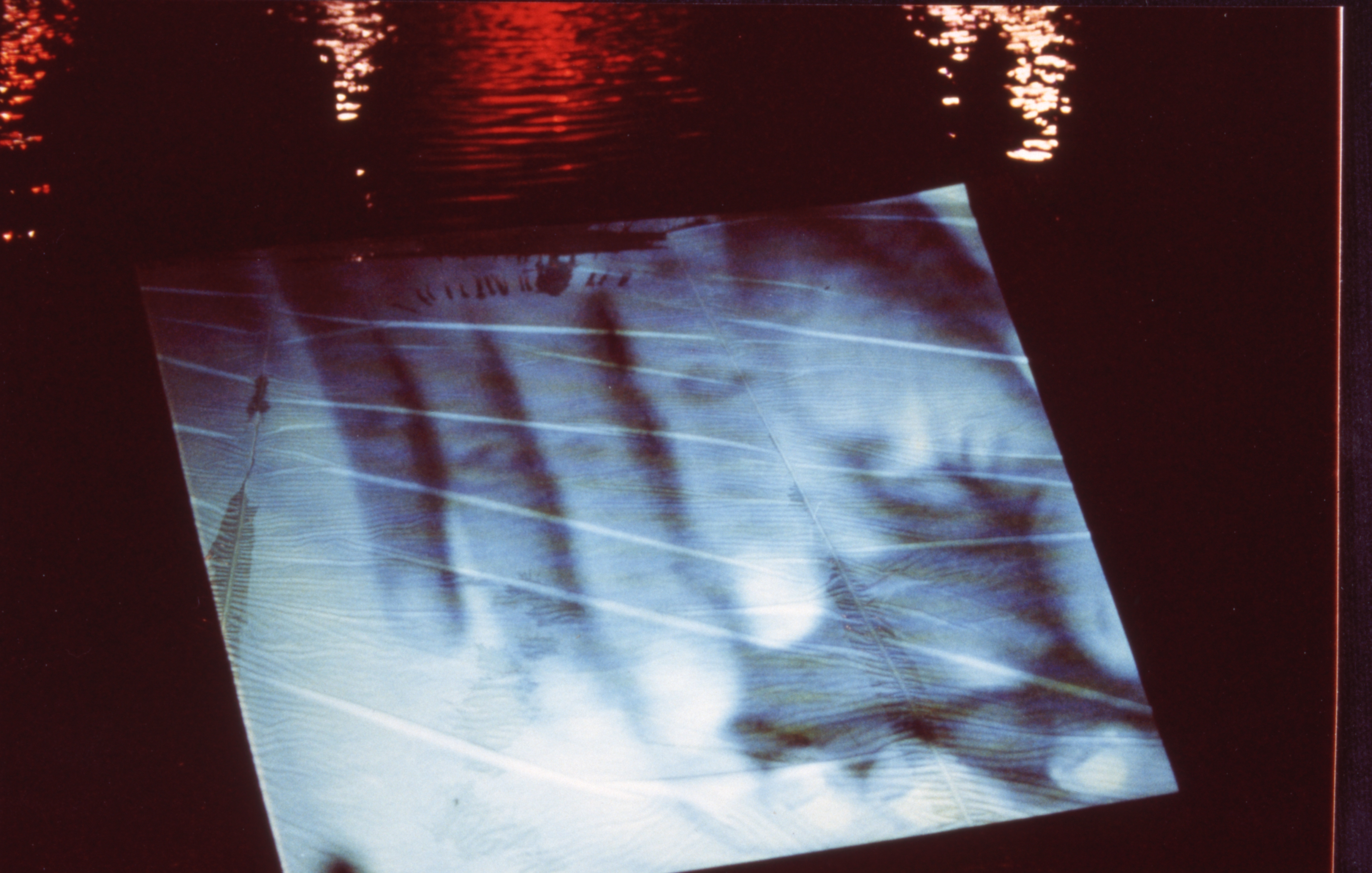 Your Hand Opens and Closes and Opens and Closes (Set of 16 Photographs)