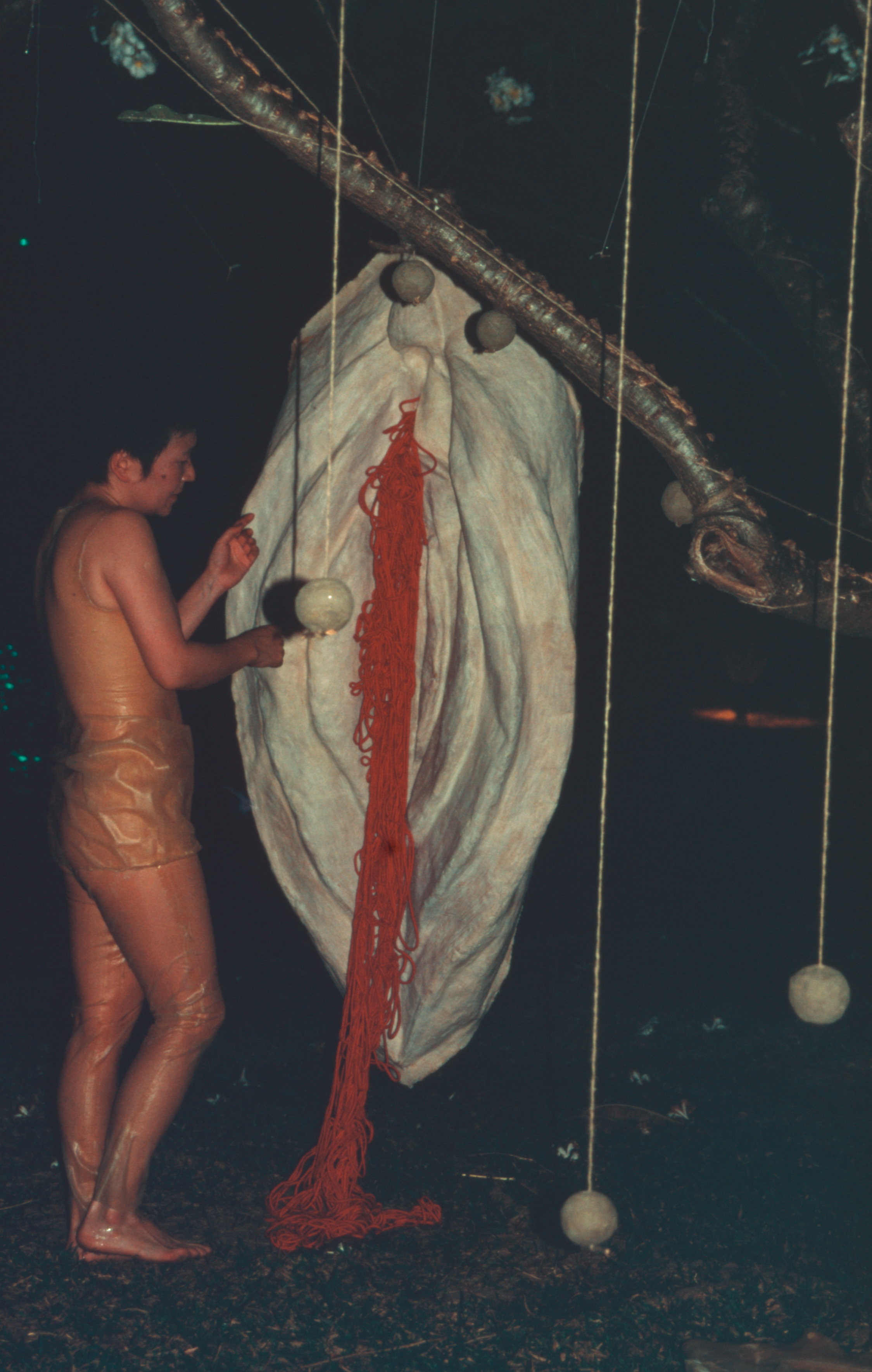 Me Being Me (Set of 37 Photographs)