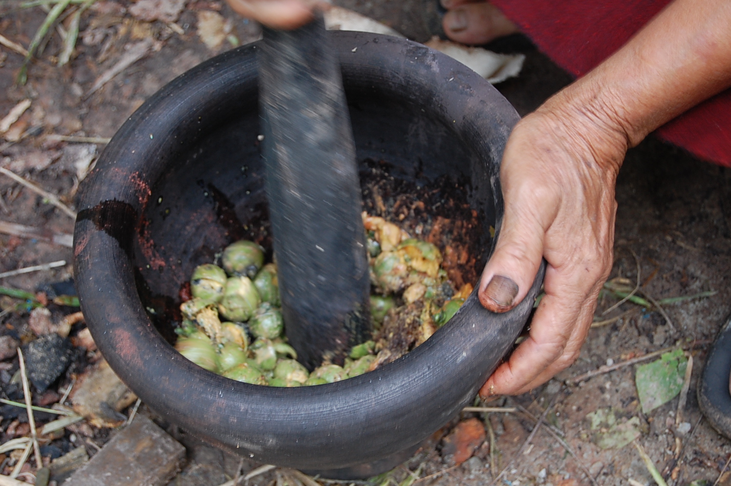 Making of Plant-based Dyes by Pan Parahom (Set of 10 Photographs)