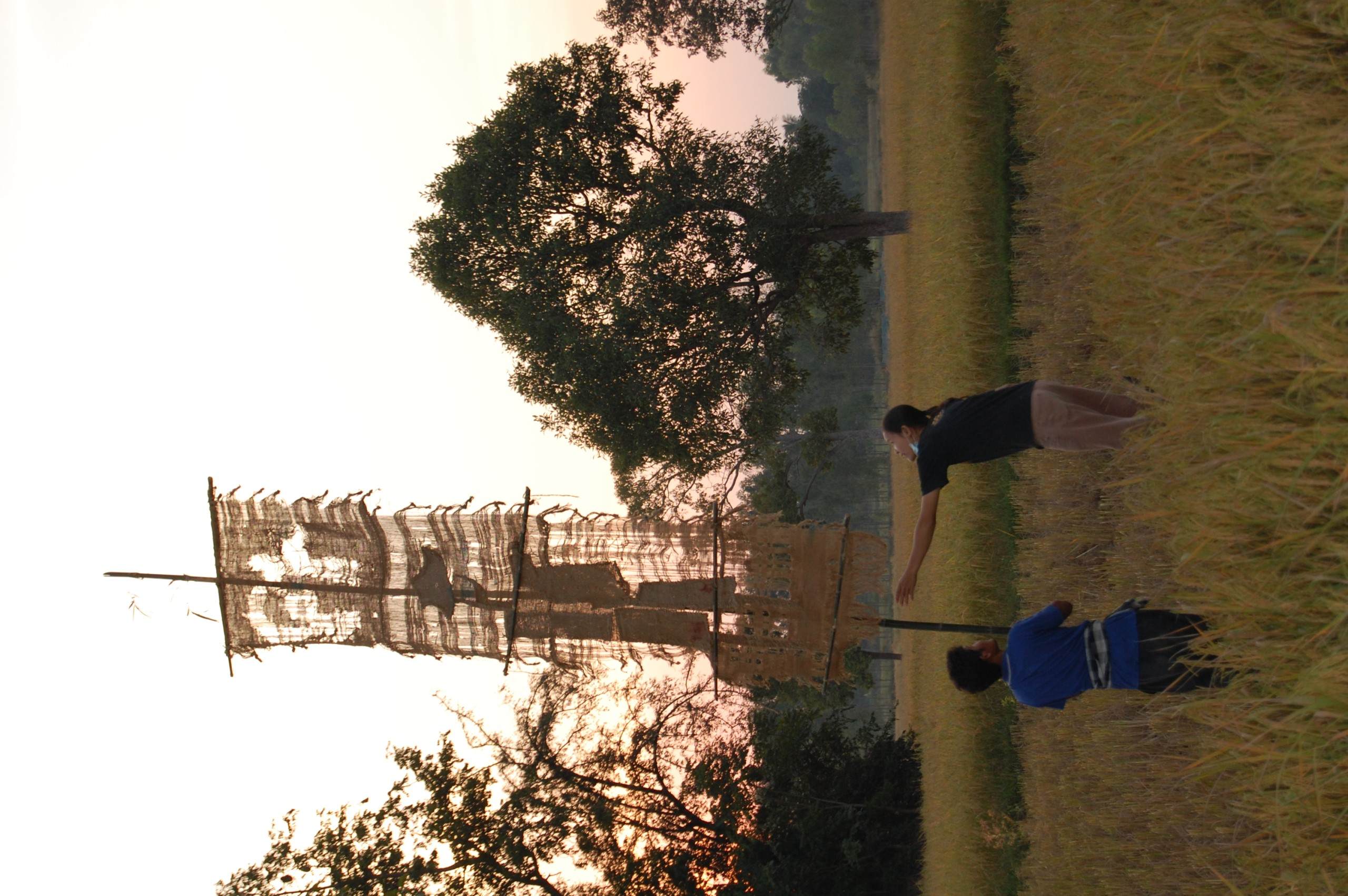 Kor Kwaay Dong Khao Na…Kor Khon Dong Khueng Khang—Preparation (Set of 9 Photographs)