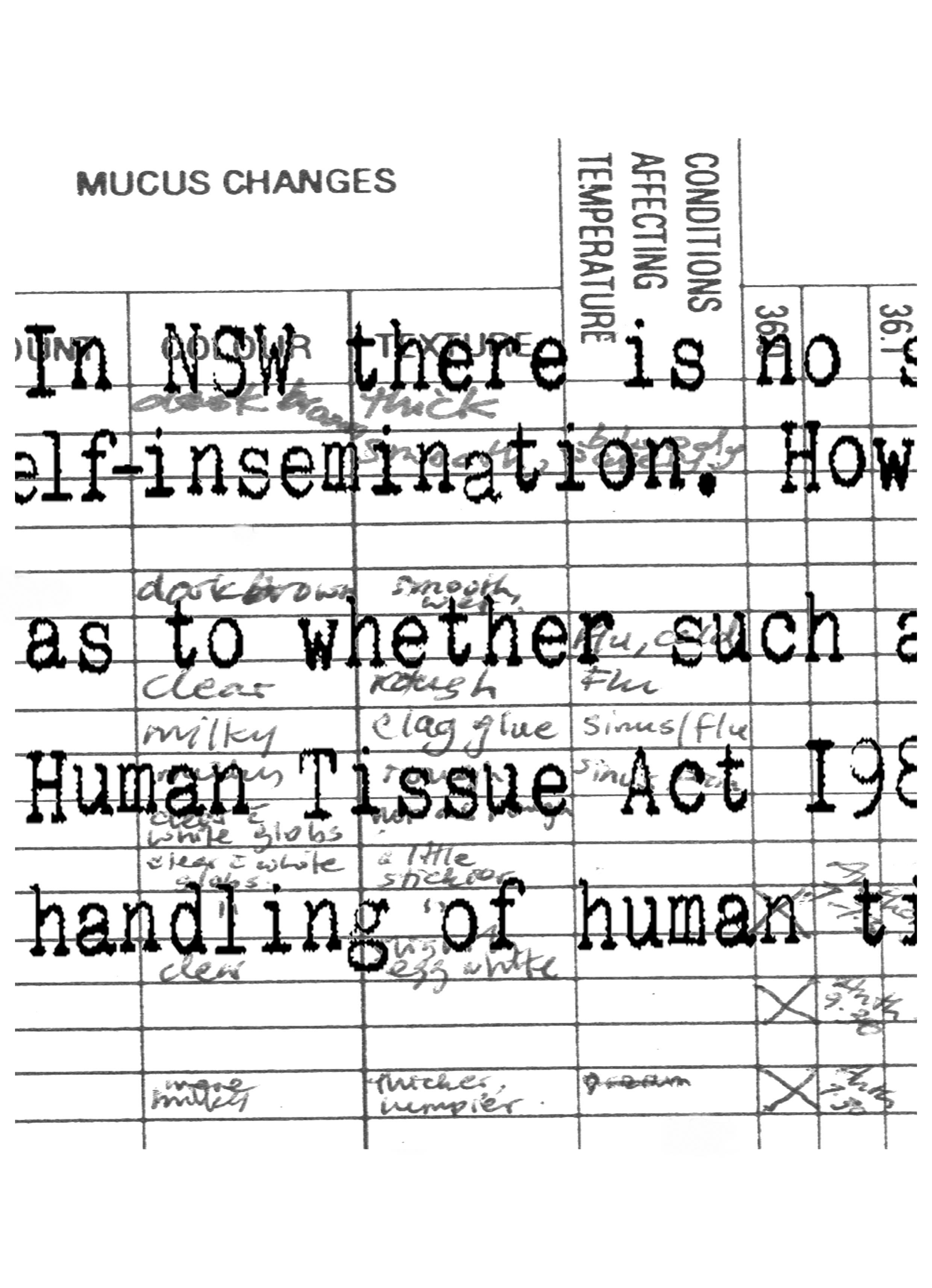 Artwork by Virginia Hilyard