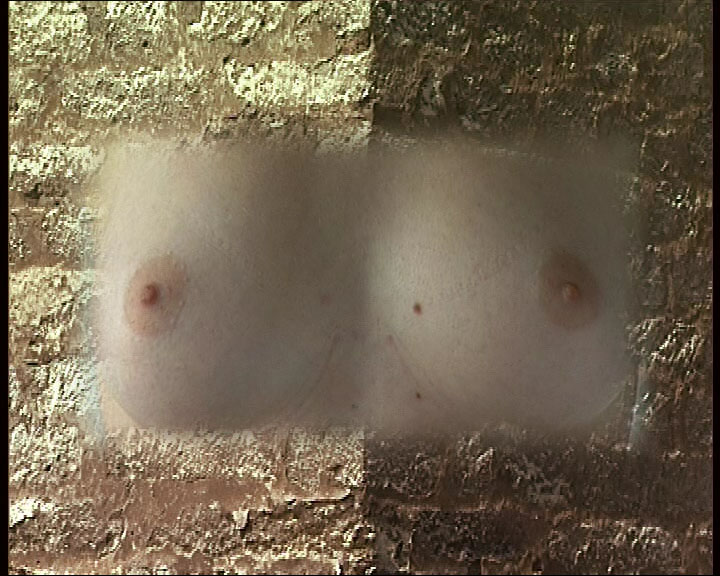 Building the Scutari (Set of 2 Images)