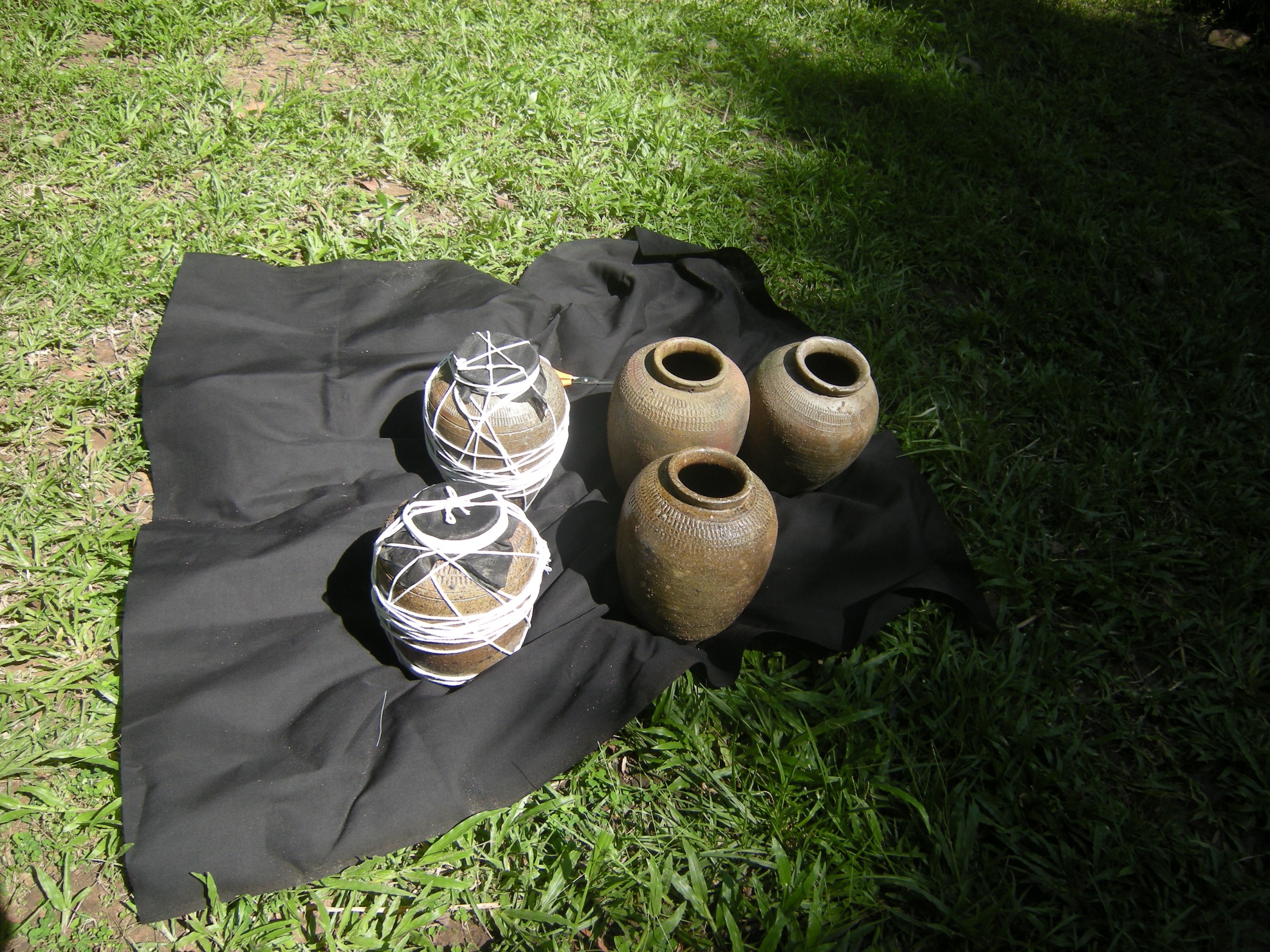 Casting Off a Memory — Workshop (Set of 66 Photographs)