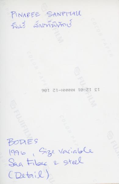 Breasts and Bodies (Set of 6 Photographs)