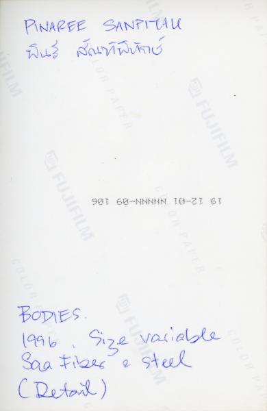 Breasts and Bodies (Set of 6 Photographs)