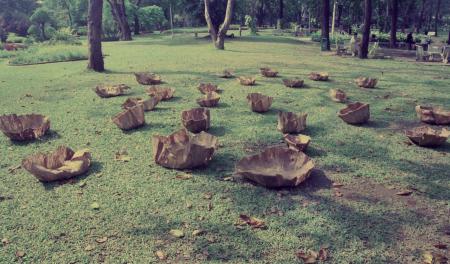 Untitled 'Offering' (Set of 4 Photographs)