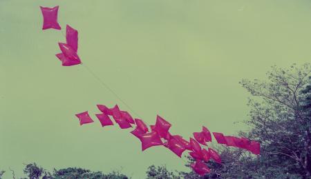 Body Installation (Set of 7 Photographs)