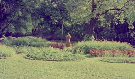 Thai Silk and Pins (Set of 4 Photographs)