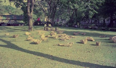 Untitled 'Offering' (Set of 4 Photographs)