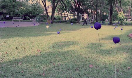 Swept Around in the Wind (Set of 8 Photographs)