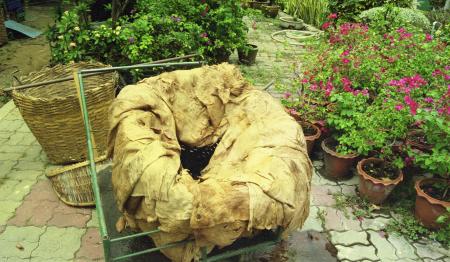 Untitled 'Offering' — Preparation (Set of 4 Photographs)