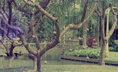 Stand Beside the River (Set of 3 Photographs)