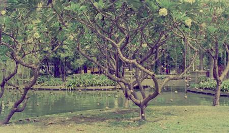 Stand Beside the River (Set of 3 Photographs)