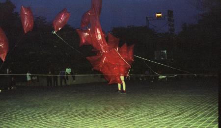 Body Installation (Set of 4 Photographs)