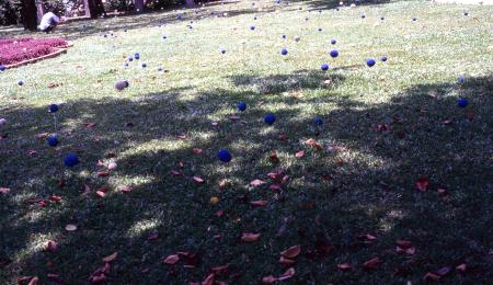 Swept Around in the Wind (Set of 8 Photographs)