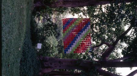 Bags (Set of 3 Photographs)