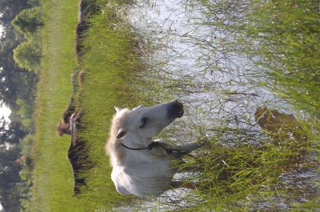 Womanifesto Residency Everyday Activities (Set of 115 Photographs)