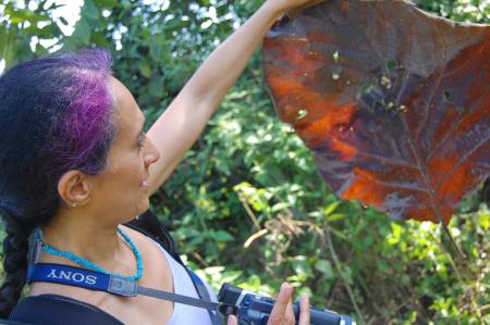 Womanifesto Residency Everyday Activities (Set of 115 Photographs)