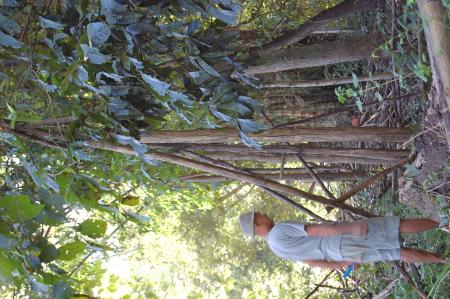 Womanifesto Residency Everyday Activities (Set of 115 Photographs)