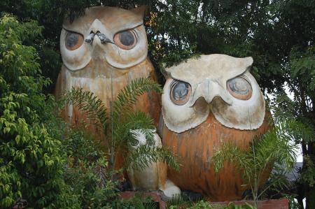 Field Trip to Wat Phra Tart Ruerng Rong Temple (Set of 40 Photographs)