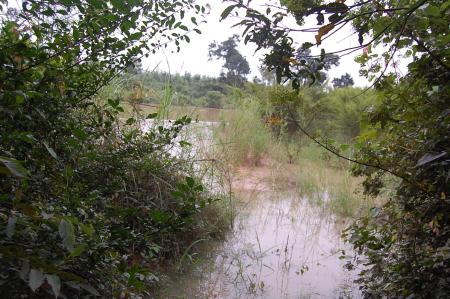 Womanifesto Residency Everyday Activities (Set of 115 Photographs)