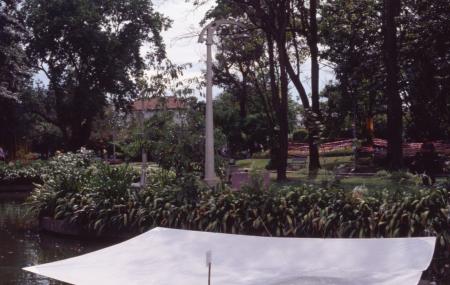 Your Hand Opens and Closes and Opens and Closes — Preparation (Set of 9 Photographs)