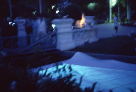 Your Hand Opens and Closes and Opens and Closes (Set of 16 Photographs)