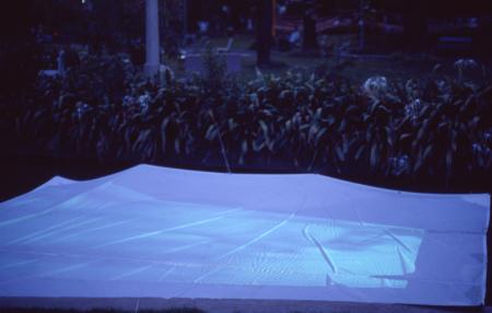 Your Hand Opens and Closes and Opens and Closes (Set of 16 Photographs)