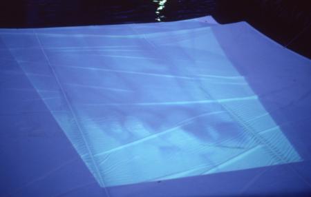 Your Hand Opens and Closes and Opens and Closes (Set of 16 Photographs)