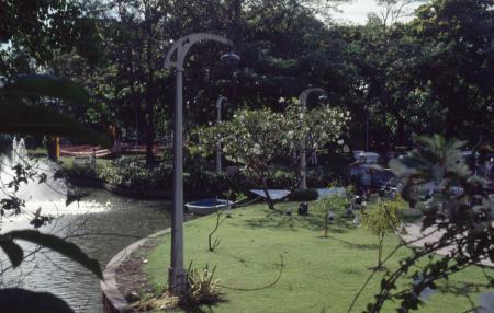 Your Hand Opens and Closes and Opens and Closes — Preparation (Set of 9 Photographs)