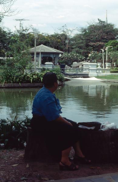 Your Hand Opens and Closes and Opens and Closes — Preparation (Set of 9 Photographs)