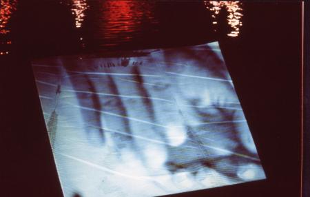 Your Hand Opens and Closes and Opens and Closes (Set of 16 Photographs)