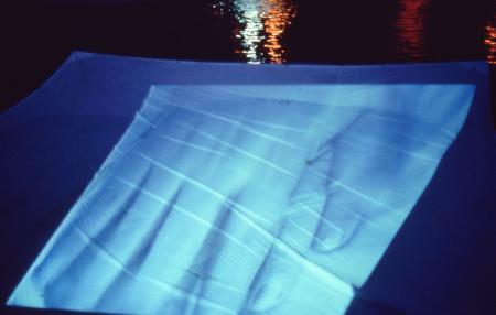 Your Hand Opens and Closes and Opens and Closes (Set of 16 Photographs)