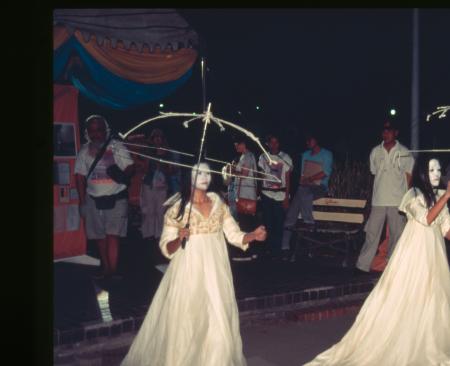 Fire — Fly (Set of 3 Photographs)