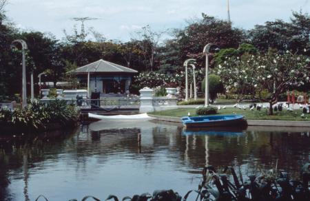 Your Hand Opens and Closes and Opens and Closes (Set of 16 Photographs)