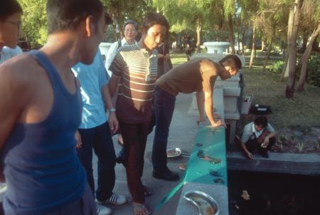 Womanifesto II Participants on Visit (Set of 3 Photographs)