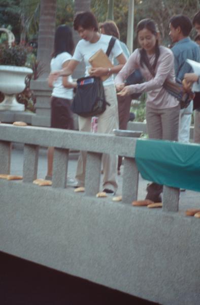 Womanifesto II Participants on Visit (Set of 3 Photographs)