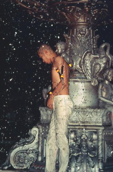 Fire — Fly (Set of 3 Photographs)