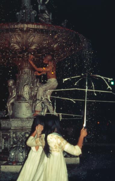 Fire — Fly (Set of 3 Photographs)