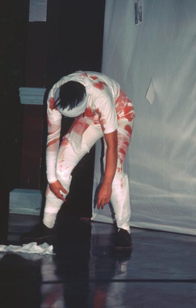 Stolen Bodies (Set of 27 Photographs)