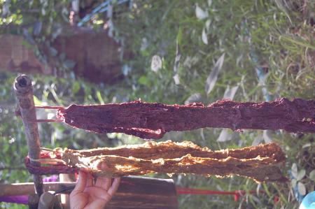 Making of Plant-based Dyes by Pan Parahom (Set of 10 Photographs)