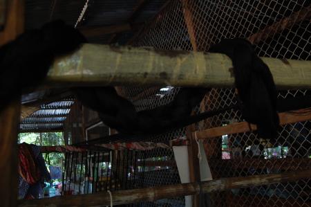 Casting Off a Memory — Preparation (Set of 2 Photographs)